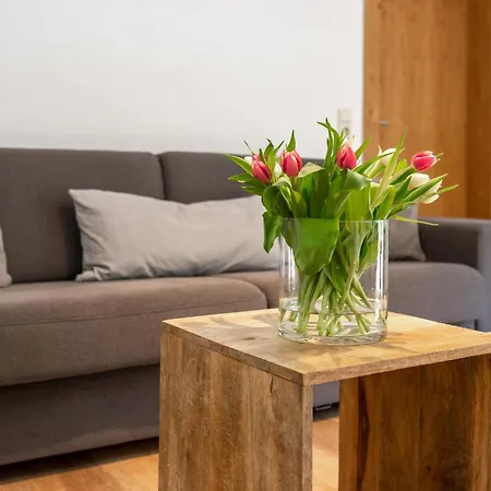 Heimelig M Apartment Saalbach-Hinterglemm
